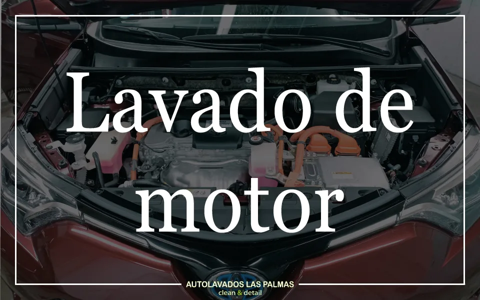 Servicio de lavado y detallado técnico de motores
