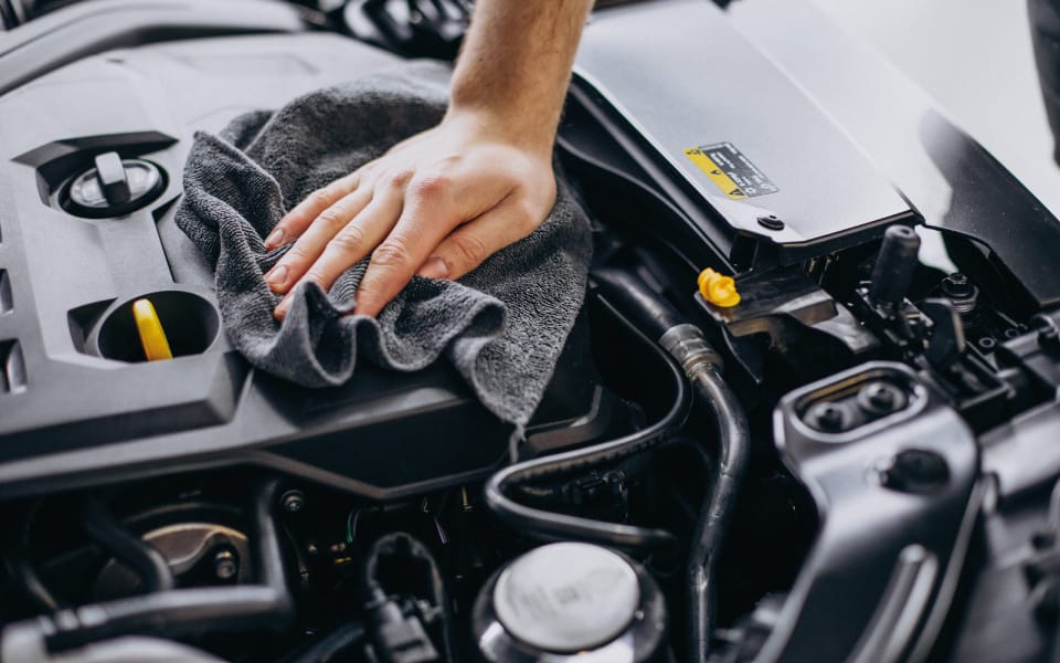 Limpieza técnica profunda de motor con acabado profesional y protección