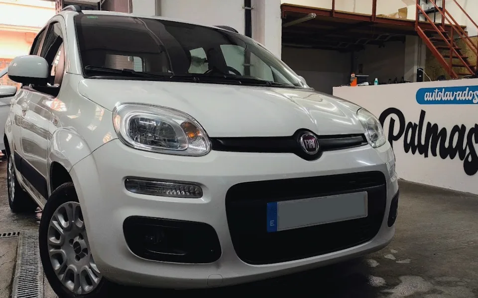 Ofrecemos las mejores opciones para proteger la pintura del coche, puedes adquirir todos estos productos para cuidar y proteger la pintura, desde ceras naturales y sellantes sintéticos hasta cerámicos de calidad.